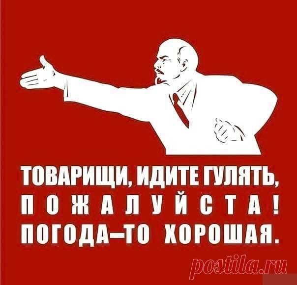 original.jpeg (604×581)