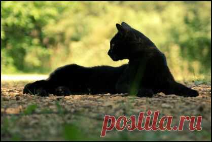 Мой Мир@Mail.Ru