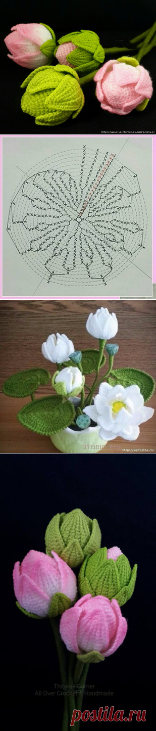 Лотос крючком. МК