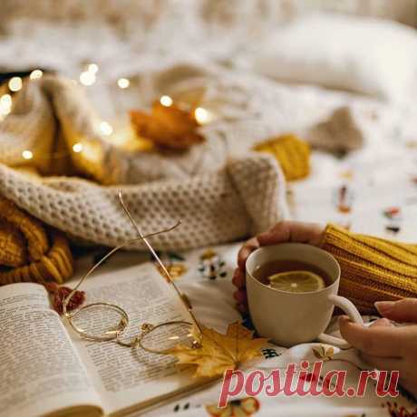 ▫️
.........................................................
▫️Photo by: @maw_reads
▫️#stillm_maw_reads
.........................................................
▫️ To be featured please follow:
⠀✧ @still_life_mood
▫️ Valid Tag: #still_life_mood
▫️A repost is welcomed!!!
.........................................................
#transfer_visions #splendid_vibe
#stillife #decoration #livethelittlethings #stillography #interro #stilllifephotos #stilllifephotography #fineart ...