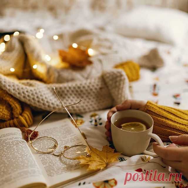 ▫️
.........................................................
▫️Photo by: @maw_reads
▫️#stillm_maw_reads
.........................................................
▫️ To be featured please follow:
⠀✧ @still_life_mood
▫️ Valid Tag: #still_life_mood
▫️A repost is welcomed!!!
.........................................................
#transfer_visions #splendid_vibe
#stillife #decoration #livethelittlethings #stillography #interro #stilllifephotos #stilllifephotography #fineart ...