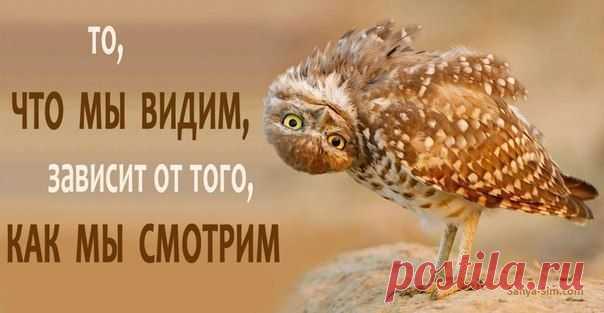 Проект. Дизайн. Отделка. Ремонт. Реставрация. МО | ВКонтакте
