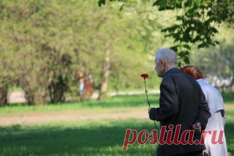 Инструкция: как узнать, где воевал родственник в Великую Отечественную войну