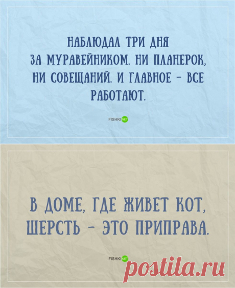 цитата valia_by : ПОСТ ПРЕКРАСНОГО ОСЕННЕГО НАСТРОЕНИЯ (16:50 11-10-2015) [4426181/373926864] - nimfa58@mail.ru - Почта Mail.Ru