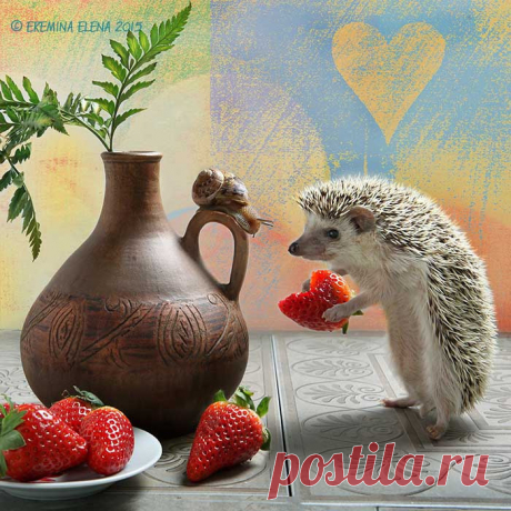 Варим варенье