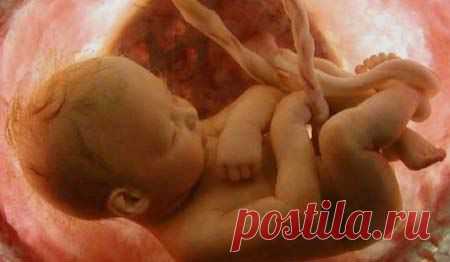 ЧТО ЧУВСТВУЕТ РЕБЁНОК В ЖИВОТЕ У МАМЫ