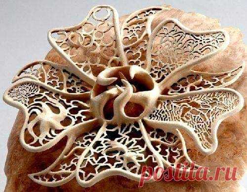 (11) primarily wood - Фото