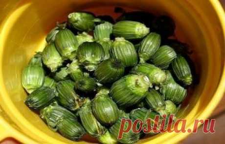 Одуванчик - ЭЛИКСИР ЖИЗНИ А КАКОЕ ЛЕКАРСТВО!!! Одуванчик - ЭЛИКСИР ЖИЗНИ А КАКОЕ ЛЕКАРСТВО!!!

Лекарственный одуванчик — растение неприхотливое, но содержащее в себе добрую половину химических элементов таблицы Менделеева.
Натрий, калий, марганец, магний, алюминий, железо, медь, кальций, а также витамины А, С, F и группы В.
Издавна за одуванчиком закрепился статус «эликсира жизни», обладающего болеутоляющим, желчегонным, мочегонным, потогонным, противовоспалительным и тони...