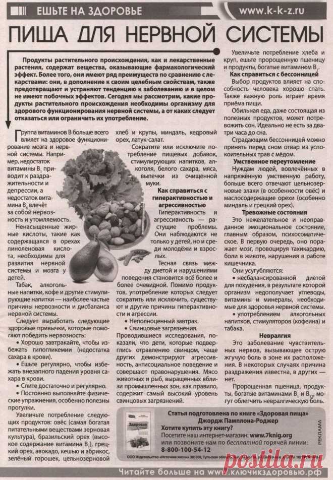 Пища для нервной системы