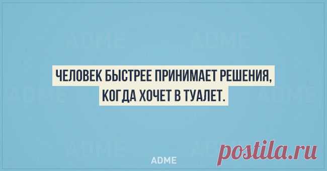 20 ценных фактов из психологии