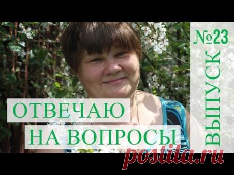 Прямая трансляция №23 (28.01.2017 г.).Отвечаю на Ваши вопросы.