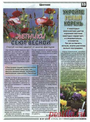 Летники сеют весной. Оголяется корень