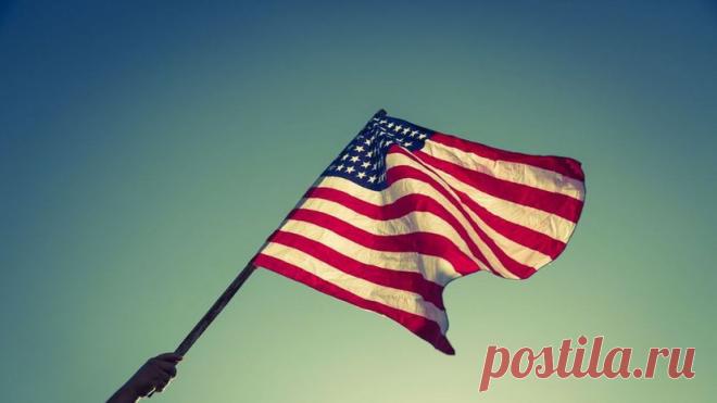 95% of people can't match the U.S. state to its flower, flag or bird! How patriotic are you? | Zoo