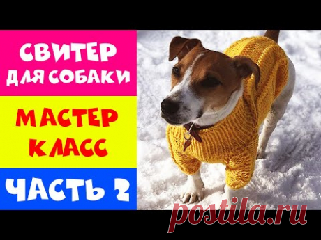 ВЯЗАНИЕ ДЛЯ СОБАКИ. ОДЕЖДА ДЛЯ СОБАК НА СПИЦАХ. МАСТЕР КЛАСС - ЧАСТЬ 2