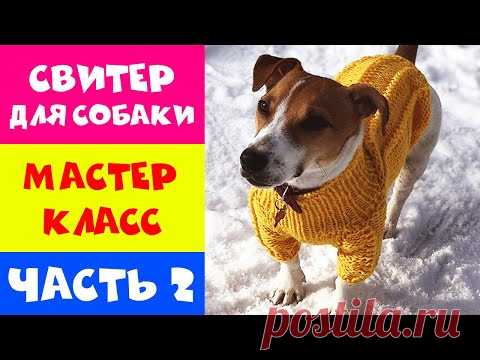 ВЯЗАНИЕ ДЛЯ СОБАКИ. ОДЕЖДА ДЛЯ СОБАК НА СПИЦАХ. МАСТЕР КЛАСС - ЧАСТЬ 2