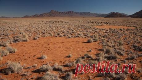 “Волшебным кругам” в Намибии найдено новое объяснение | Чёрт побери Новая научная теория готова дать объяснение одному из самых загадочных явлений природы - так называемым "волшебным кругам" в Намибии.Эти круги диаметром от 2 до 15 метров представляют собой голую почву, окруженную кольцом травы.  Результаты исследований на местности и компьютерного моделирования указывают на взаимодействие растений и термитов.Выводы ученых из университетов Стратклайда и Принстона, выдвинув...