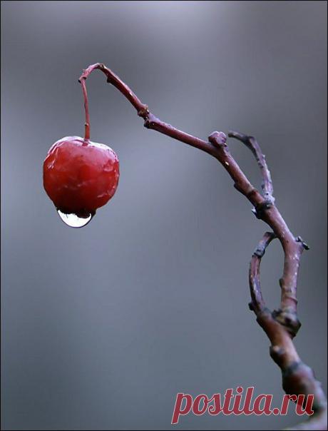 (7) МИФ Детство - Фото Хроники