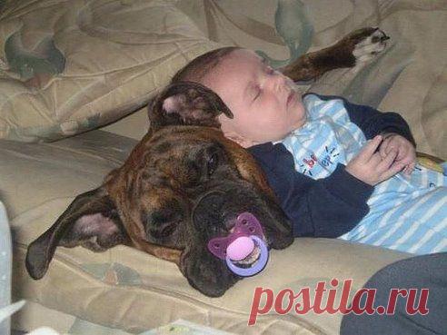 - Какая разница между мужем и ребёнком?
- В принципе, никакой - но ребёнка хоть можно оставлять одного с нянькой...