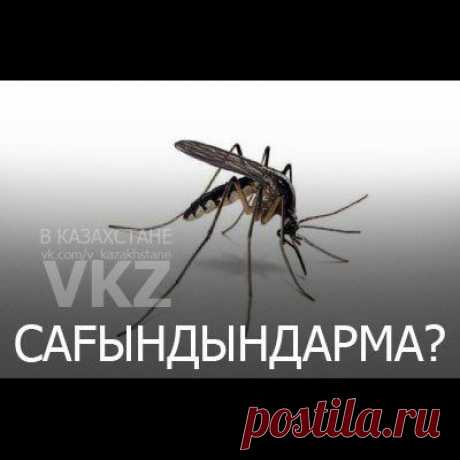 Тұрсынбек Қабатов | Әзіл Әлемі ✔