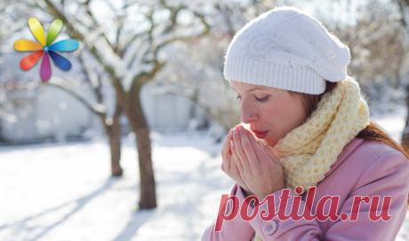Маска для лица с калиной против морщин от Даши Трегубовой | Все буде добре