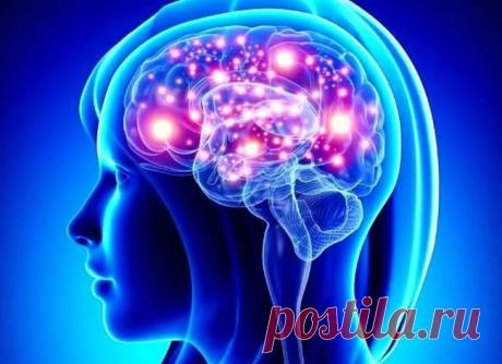 Тест на общую эрудицию Подобные тесты расширяют кругозор