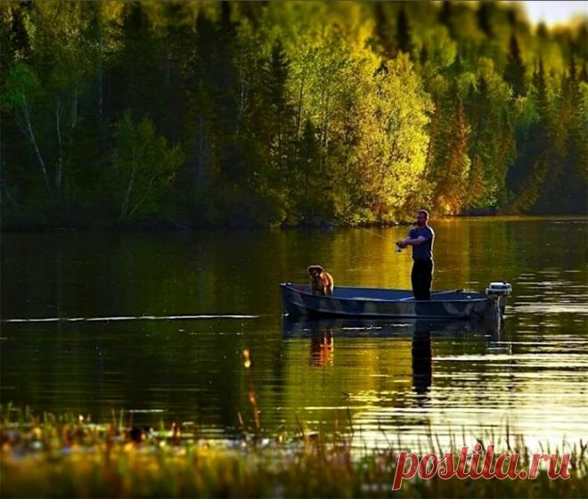 Суперблесна «Ульянка» - рыбацкое чудо своими руками! | Рыбалка для людей | Яндекс Дзен