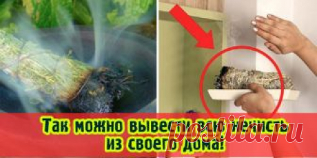 Так можно вывести всю нечисть из своего дома! Способ, который изменил мою жизнь… | Полезные советы