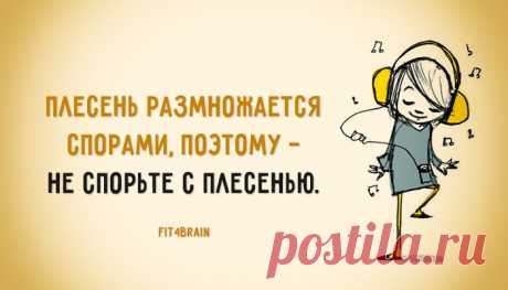 Совет, который сбережет ваши нервы :)