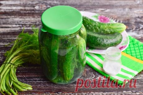 Огурцы без закатки на зиму: рецепт с фото пошагово