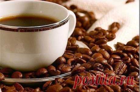 Кофе Офламерон 



Ингредиенты на 2 порции: 
2 ч. ложки молотого кофе, 
200 гр. воды, 
4 ст. ложки полусладкого шампанского (без газа) или абсента, 
1/2 ч. ложки ванильного сахара. 
Как приготовить: 
Для приготовления кофе Офламерон кофе залейте теплой водой, нагревайте на слабом огне. Как только поднимется пена, добавьте шампанское без газа (или абсент) и ванильный сахар.Сразу же снимите кофе с огня, разлейте по чашкам. 
Подавать кофе Офламерон рекомендуется в чашках для капучино.