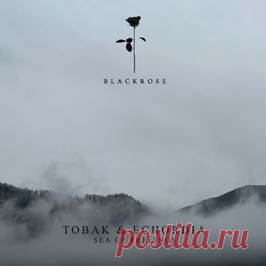 TOBAK, Echordia - Sea Of Feelings | 4DJsonline.com
