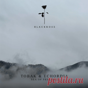 TOBAK, Echordia - Sea Of Feelings | 4DJsonline.com