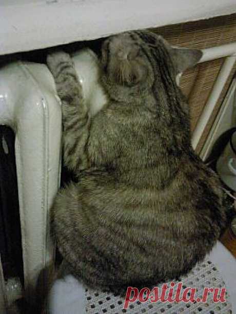 Слава ЖКХ, отопление включили!