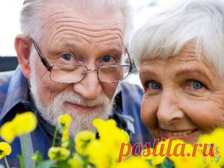 Страховая и накопительная часть пенсии. В чем разница? Примеры расчета
