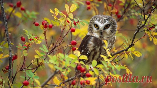 КУЧА КЛАССНЫХ КАРТИНОК - Группы Мой Мир