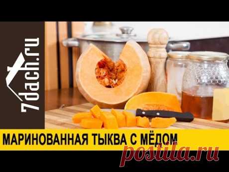 Заготовка ТЫКВЫ на зиму: маринованная тыква с медом - 7 дач