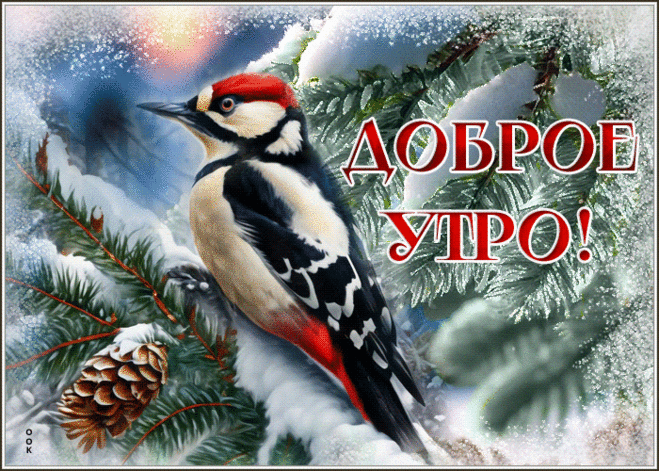 Доброго зимнего утра!