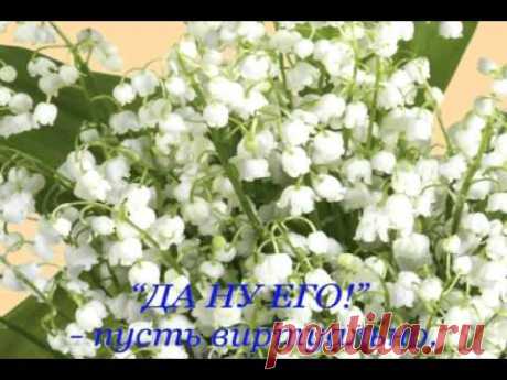 С Днем рождения подруга! - YouTube