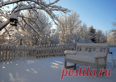 Календарь сезонных работ в саду: декабрь - Planetalsad