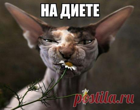 Интересные новости