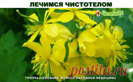 (20) Одноклассники