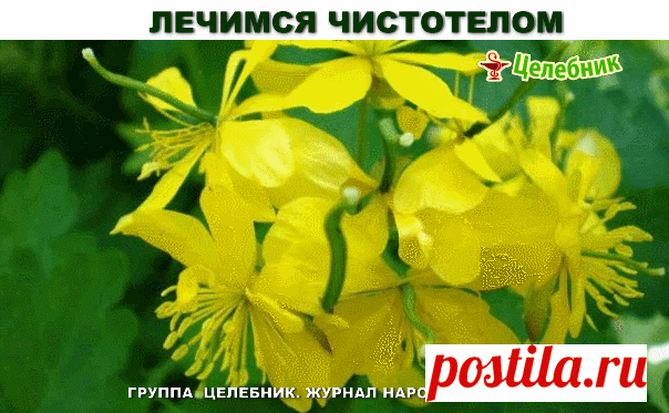 (20) Одноклассники
