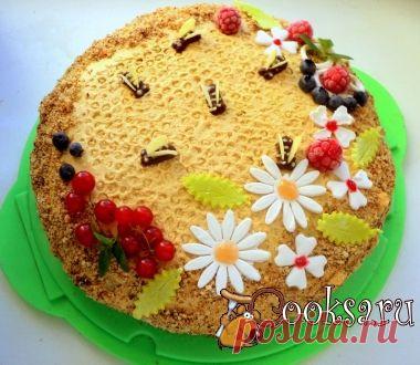 Медовик с малиной «Пчелки на лугу» фото рецепт приготовления