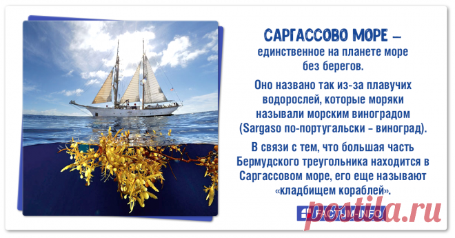 САРГАССОВО МОРЕ - единственное на планете море без берегов. 
Оно названо так из-за плавучих водорослей, которые моряки называли морским виноградом (Sargaso по-португальски - виноград). 
В связи с тем, что большая часть Бермудского треугольника находится в Саргассовом море, его еще называют «кладбищем кораблей»
#Саргассово #море #Бермудский #треугольник #водоросли #факты #интересныефакты #фактдня #фактымира #интересно #FactumInfo #картинки #мозг #саморазвитие #ум #facts