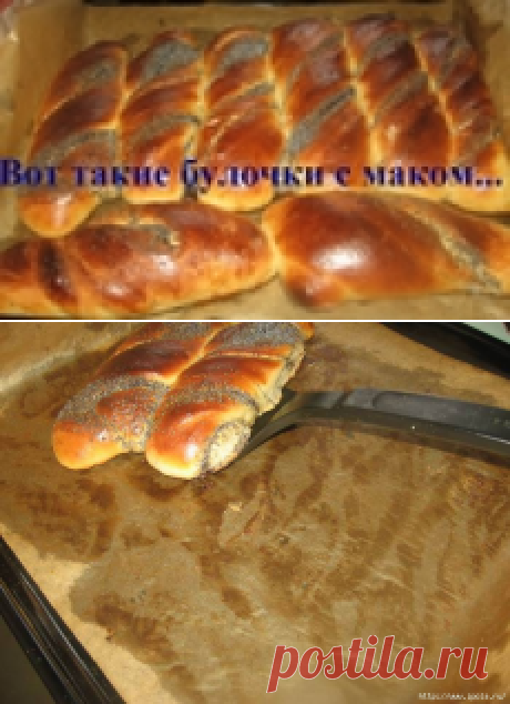Вот такие вот булочки с маком...