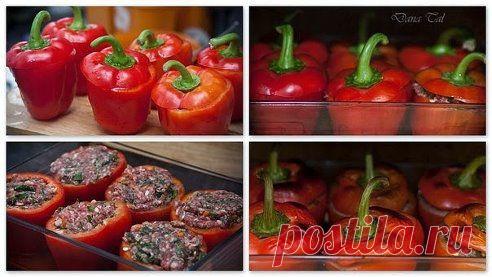 ТУТ ВСЕ МОИ РЕЦЕПТЫ для МОИХ ЗАМЕЧАТЕЛЬНЫХ ДРУЗЕЙ. Добавлена фотография в альбом 4.Простые и Вкусные рецепты