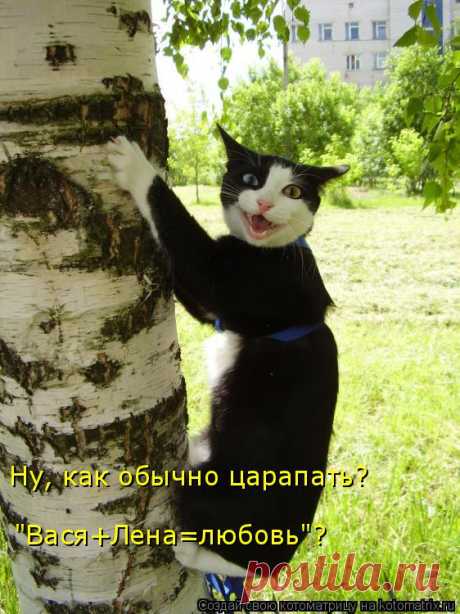 Котоматрица: Главная