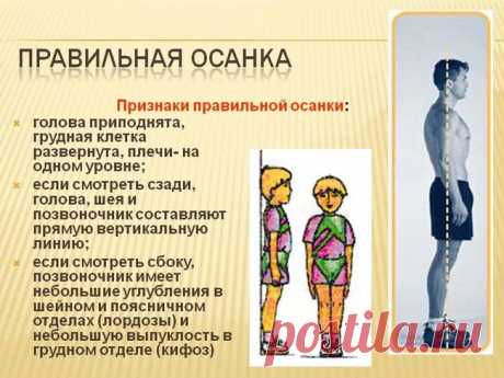 Упражнения для правильной осанки | Быть здоровым легко!
