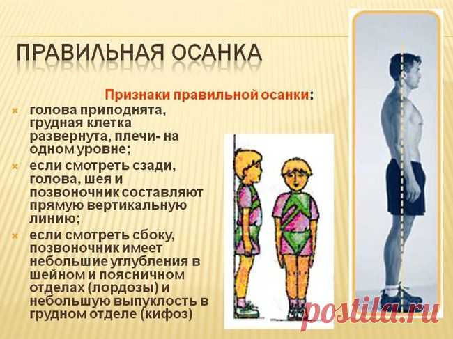 Упражнения для правильной осанки | Быть здоровым легко!
