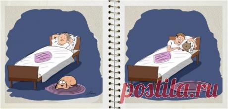 Чем коты отличаются от собак